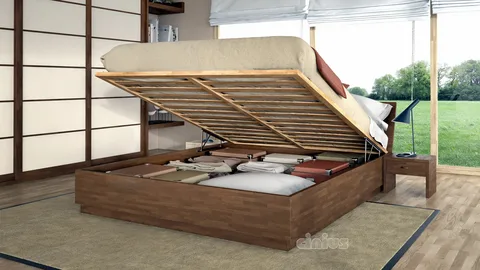 Hydraulic bed Furniture Design
